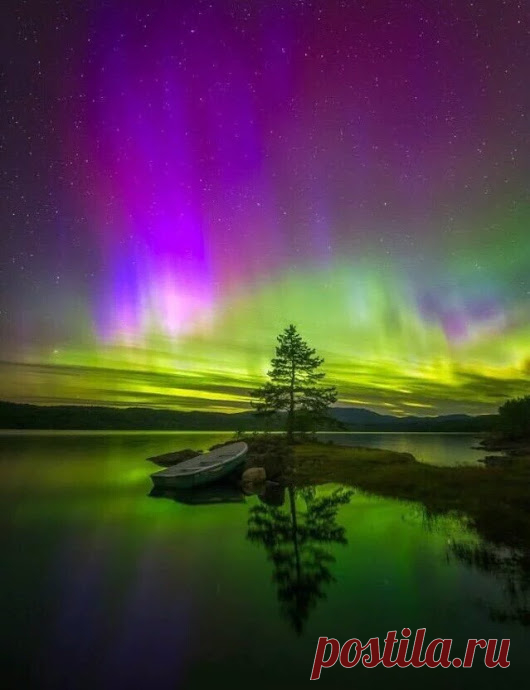 Google+