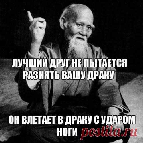 Прикольные фотомемы для хорошего настроения (31 шт)