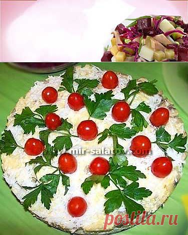 Салат Куриный торт
Ингредиенты:
2 куриные грудки, 250 г твердого сыра,6 вареных яиц, 1 зубчик чеснока, 1 стакан грецких орехов, 250 г шампиньонов, 2 луковицы, растительное масло, майонез.
 
Для украшения:
зелень, белки от двух яиц, помидоры "черри".