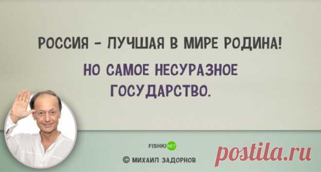 25 самых веселых цитат Михаила Задорнова обо всем на свете!