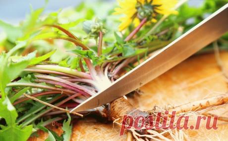 В 100 раз эффективнее химиотерапии! Трава, которая убивает раковые клетки в течение 48 часов