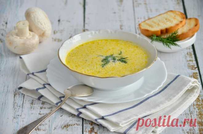 Сырный суп с курицей и грибами рецепт с фото пошагово и видео - 1000.menu
