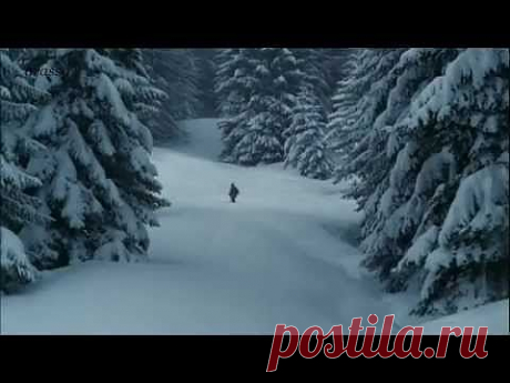 ЕЛЕНА ВАЕНГА  &amp;quot;ТАЙГА&amp;quot; - YouTube