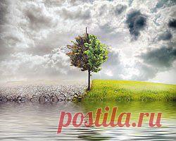 Ученые вычислили территории, наиболее уязвимые для изменения климата :: Общество :: Top.rbc.ru