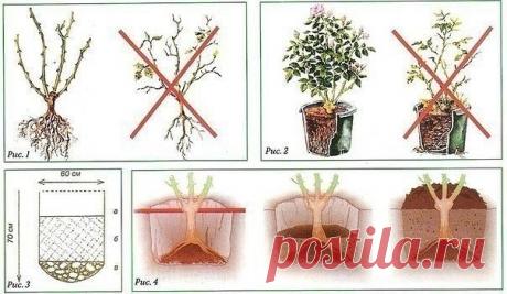 Одноклассники