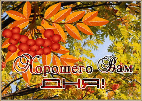 Открытка хорошего дня со спелой рябиной