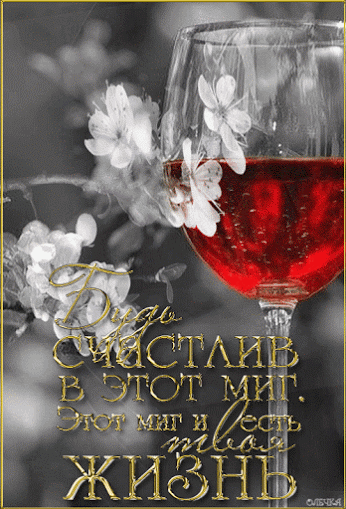 Живые фотографии – Живые картинки – Сообщество – Google+