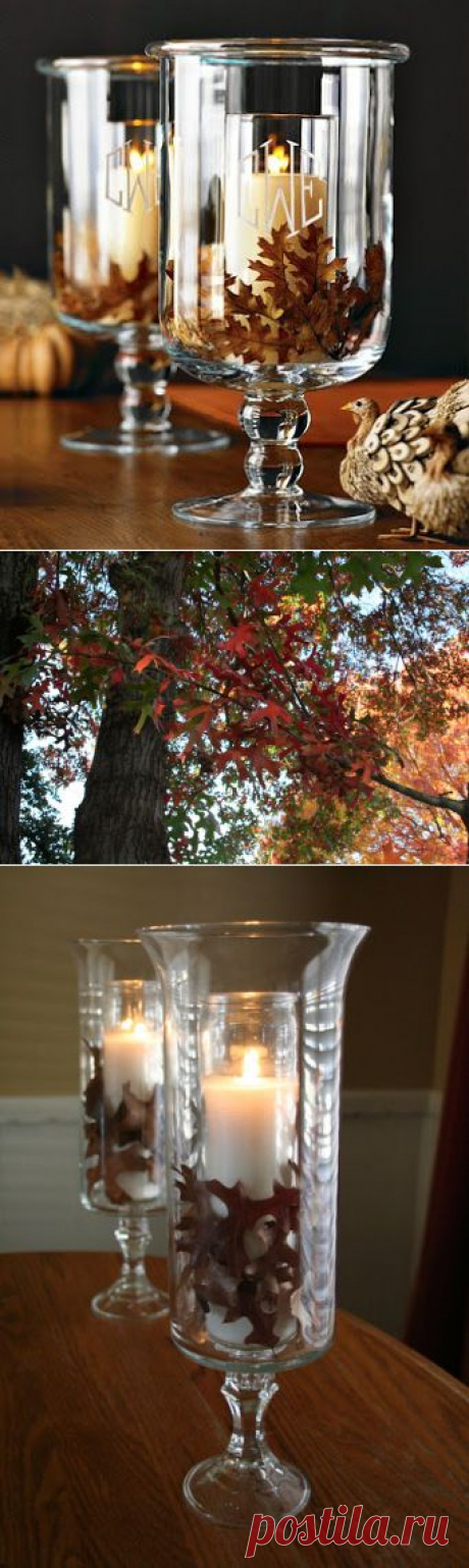 320 * Sycamore: dollar store version of the WS glass hurricane