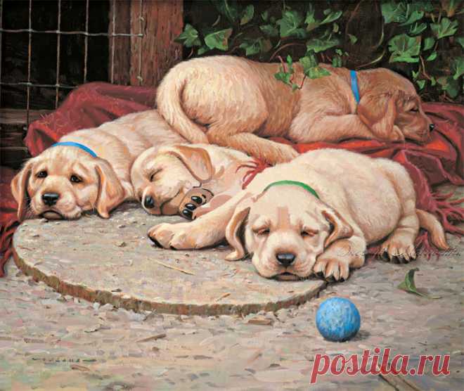 Художник Jim Lamb. Часть 2. Щенок.