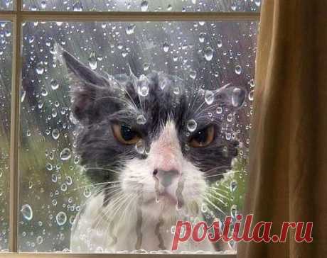 Одноклассники