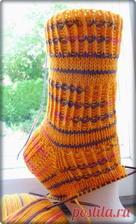 Orange1.JPG (590×971)
