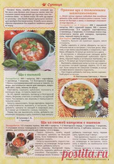 Щи с килькой. Пряные щи с томлеными шампиньонами. Щи из свежей капусты с пшеном
