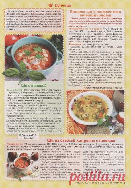 Щи с килькой. Пряные щи с томлеными шампиньонами. Щи из свежей капусты с пшеном