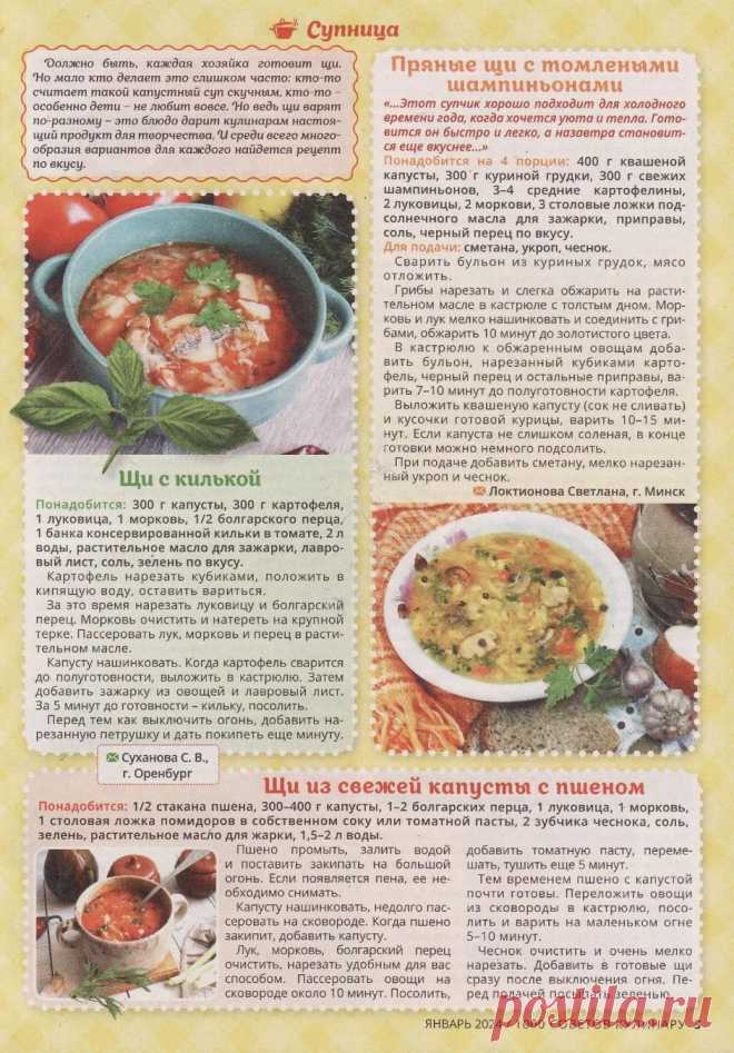 Щи с килькой. Пряные щи с томлеными шампиньонами. Щи из свежей капусты с пшеном
