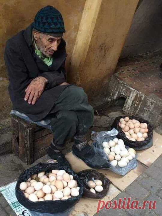 «Ҳотамтой» хонимнинг хариди