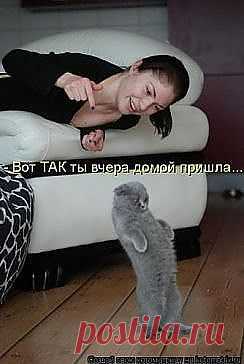 КЛАСС!!