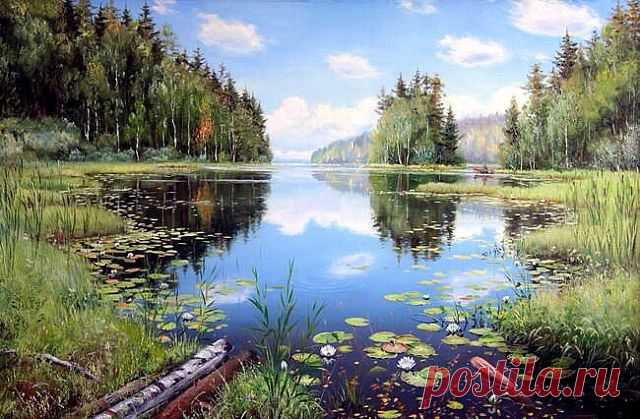 (52) Одноклассники