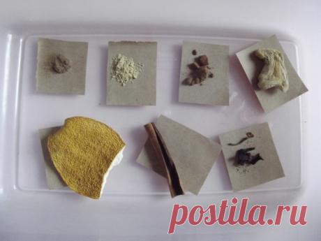 Новогодние запахи . - Поделки с детьми | Деткиподелки