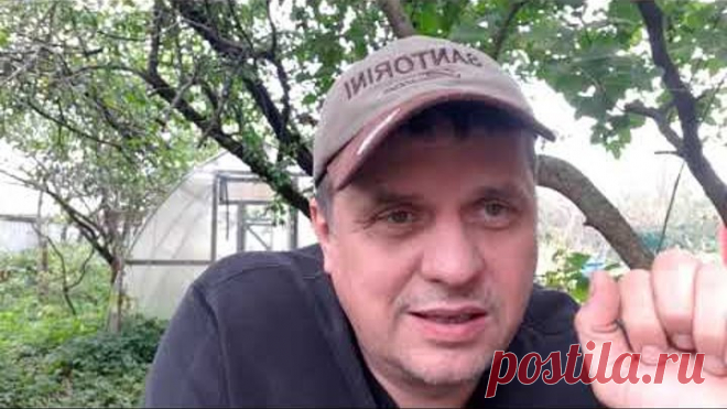 Смертельное Проклятие и Целители Паразиты.