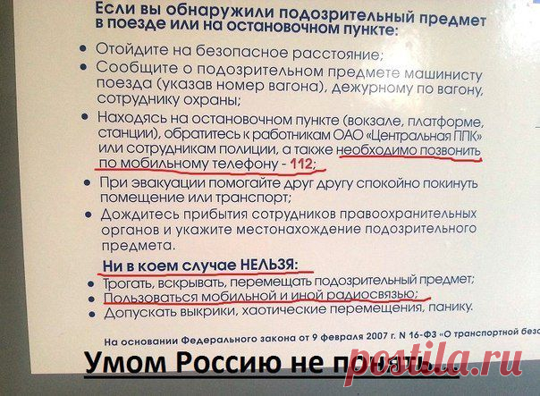 Светлана Бобровская