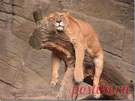 ♕ МУЗЫКАЛЬНЫЕ КЛИПЫ И ХОРОШЕЕ НАСТРОЕНИЕ ♕. Добавлена фотография в альбом ☜♡☞ СТОП КАДР или ОСТАНОВИСЬ МГНОВЕНИЕ...