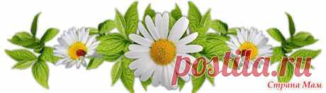 ШАЛЬные посиделки - шаль &quot;Зимний лес&quot; (Regrowth) - Вяжем вместе он-лайн - Страна Мам