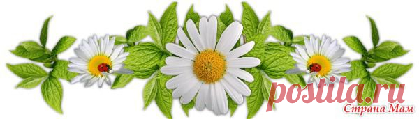 ШАЛЬные посиделки - шаль "Зимний лес" (Regrowth) - Вяжем вместе он-лайн - Страна Мам