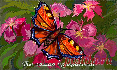 Галантность высоко ценилась во все времена, а умение делать комплименты – целое искусство. С днём КОМПЛИМЕНТОВ, Друзья… и пусть он будет каждый день!!!!