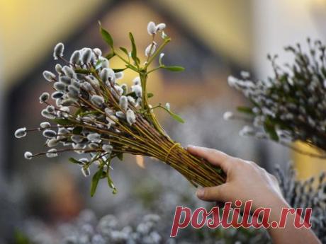 Вербное воскресенье – 5 апреля 2015 года