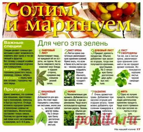 Специи для солений