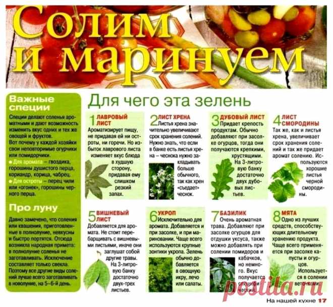 Специи для солений