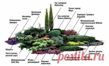 АЛЬПИЙСКАЯ ГОРКА