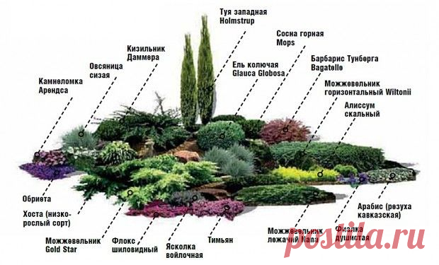 АЛЬПИЙСКАЯ ГОРКА