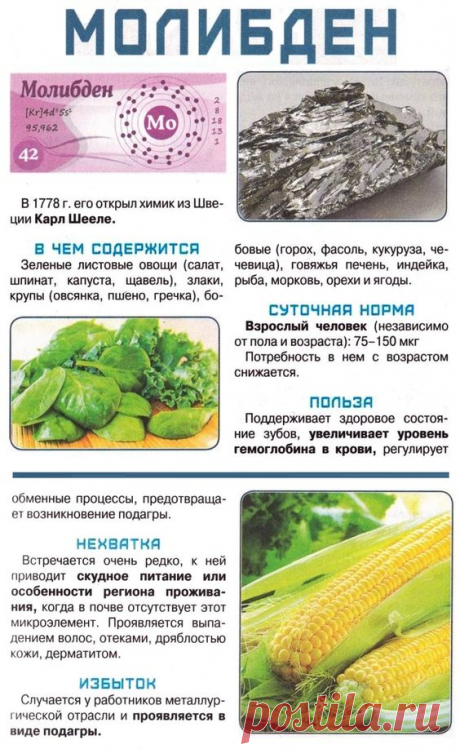 Молибден в организме человека