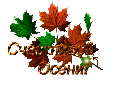 Самые популярные открытки за текущий день