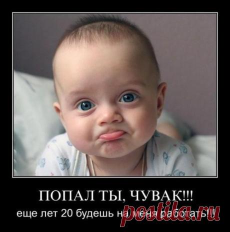 Живёшь всю жизнь Сашкой, а потом раз и Николаич (демотиваторы)