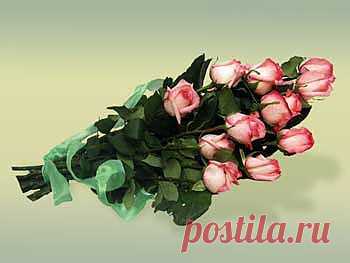 О цветке и закупках - УХОД ЗА СРЕЗАННЫМИ ЦВЕТАМИ