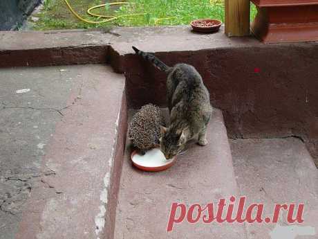 geram: Каким судом судите,таким будете судимы;и какою мерою мерите,такою и вам будут мерить---Иисус Христос