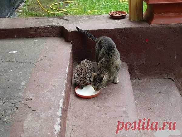 geram: Каким судом судите,таким будете судимы;и какою мерою мерите,такою и вам будут мерить---Иисус Христос