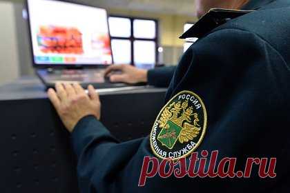 Женщина попыталась провезти в Россию изделия из бивней мамонта под юбкой