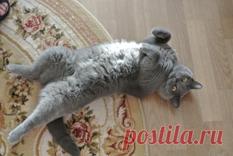 воображуля