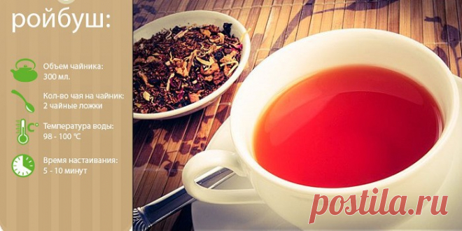 Чай Ройбуш - польза и вред, разновидности, описание, применение для похудения и как правильно заварить