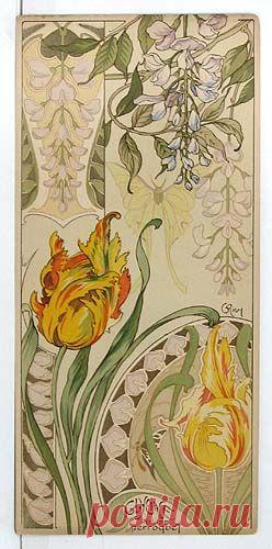 (723) Riom - Etudes de fleurs, 1890's | Art nouveau