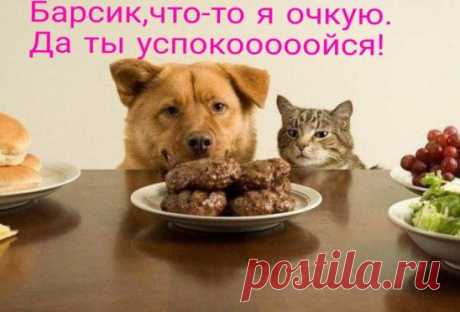 Вакансия для девушек/женщин от 22 лет(на дому) Свободный график. Можно совмещать с основной работой/декретом. Зарплата растущая. Ставьте"5"