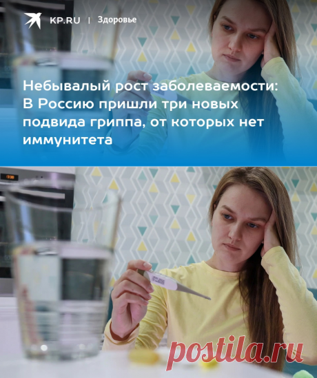 2022-ОРВИ+СВИНОЙ И ПТИЧИЙ ГРИПП-Небывалый рост заболеваемости: В Россию пришли три новых подвида гриппа, от которых нет иммунитета - KP.RU