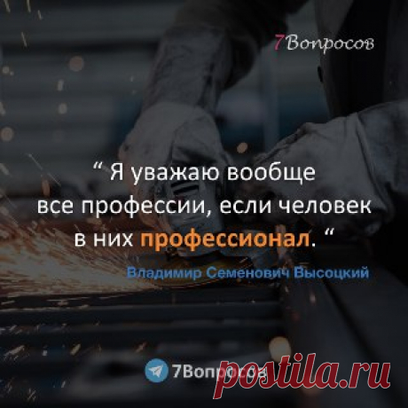 7Вопросов “ Я уважаю вообще все профессии, если человек в них профессионал. “ © Владимир Семенович Высоцкий