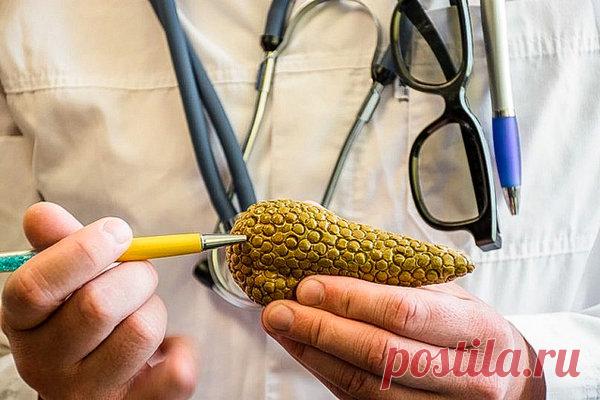 Продукты для лечение поджелудочной железы | zernomag | Яндекс Дзен