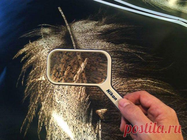 «Держи меня»: невероятная инсталляция Анджелы Муско