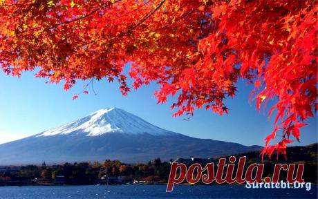 seasons, nature, autumn, photo, foto, beautiful, suratebi, image, wallpaper, picture, сезоны, года, природа, осень, фото, фотографии, фотки, картинки, заставки, field, forest, rain, leaf, fall, поле, лес, небо, солнце, луна, дождь, листопад,