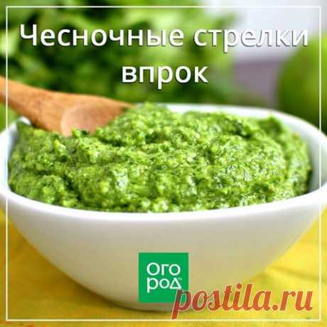 Чесночные стрелки впрок 
Друзья, а вы используете чесночные стрелки или просто выбрасываете?


 











 


Все мы знаем о полезности чеснока, по содержанию витаминов он превосходит многие овощи с грядки. А вот стрелки с…